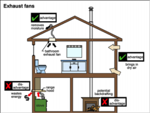 The Importance Of Your Attic Hatch Ancoe Inspections